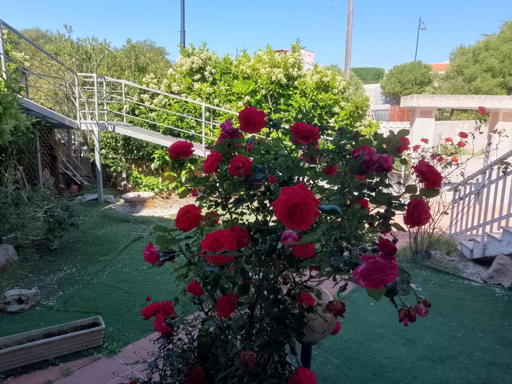Sa Minda Noa Ferienhaus Olbia